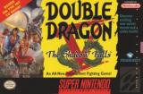 Double Dragon V: The Shadow Falls