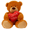 a Teddy Bear - Valentines Day 2009