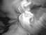 emoish
