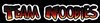 Team Noobies logo